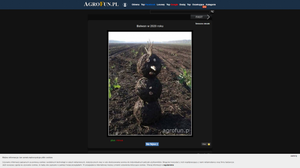 agrofun.pl