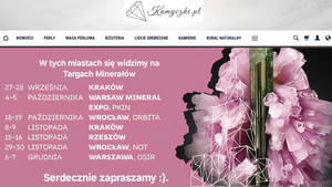 kamyczki.com.pl