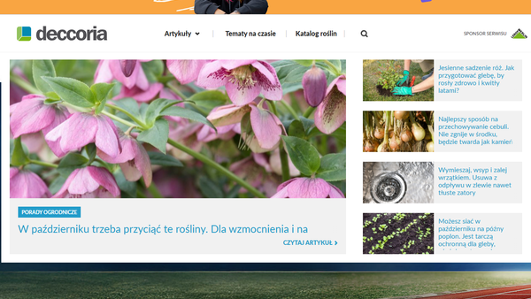 deccoria.pl